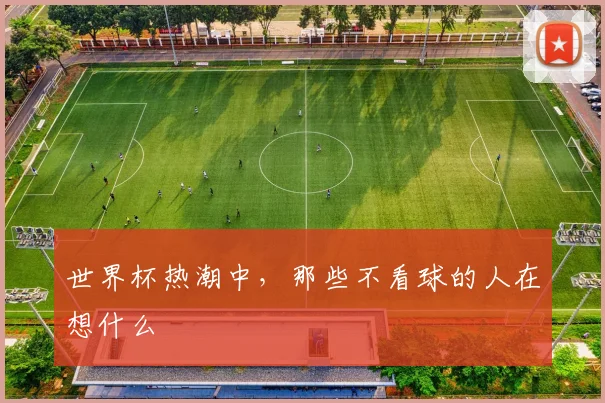 世界杯热潮中，那些不看球的人在想什么
